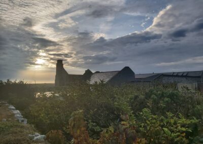The Farm, Skomer Island, September 2022